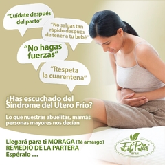 MORAGA TÉ - FITPLUS ESME ORTEGA
