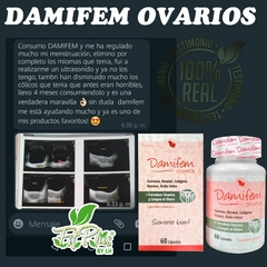 DAMIFEM en internet