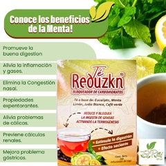 REDUZKN TÉ en internet