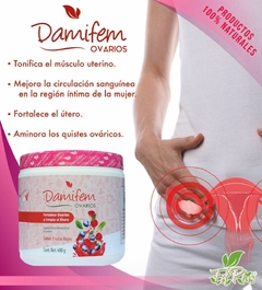DAMIFEM POLVO