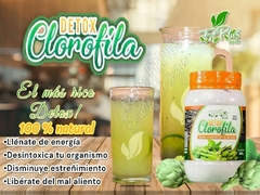CLOROFILA DETOX - FITPLUS ESME ORTEGA