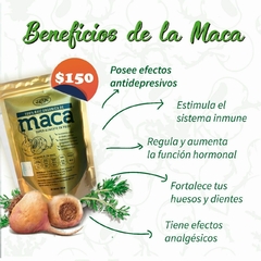 MACA en internet