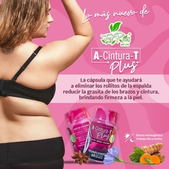 A-CINTURA-T en internet
