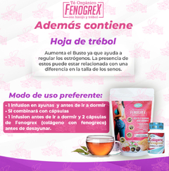 FENOGREX TÉ