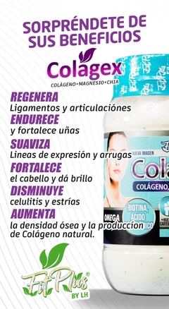 COLAGEX en internet
