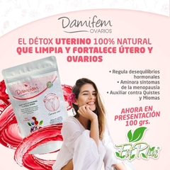 DAMIFEM POLVO - comprar en línea