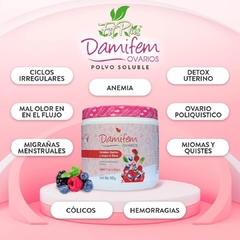 DAMIFEM POLVO - tienda en línea