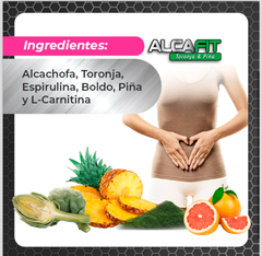 ALCAFIT en internet