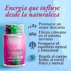 DSESTRES - FITPLUS ESME ORTEGA