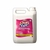 ALVEJANTE S/ CLORO 5LT CLEAN VALE