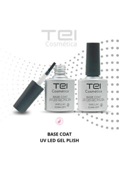 base coat tei