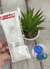 Canudo de Reposição Para Garrafas inox Infantis Skip Hop - 2 Unidades