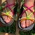 Birk Papete Sandália Infantil Kids Feminina Menina Colorida Cores - loja online