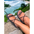 Birk papete rasteira sandália feminina conforto ABS regulagem modelo Isabel Strass e Brilho - comprar online