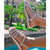 Birk rasteira sandália feminina com ABS de brilho STRASS 3 TIRAS STRASS - Pripper Shoes