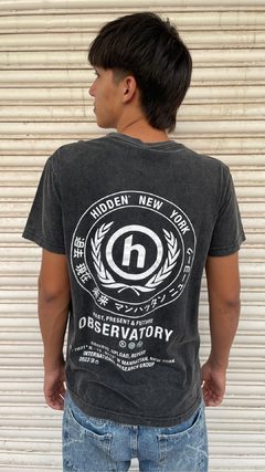 REMERA REGULAR PAST - comprar online