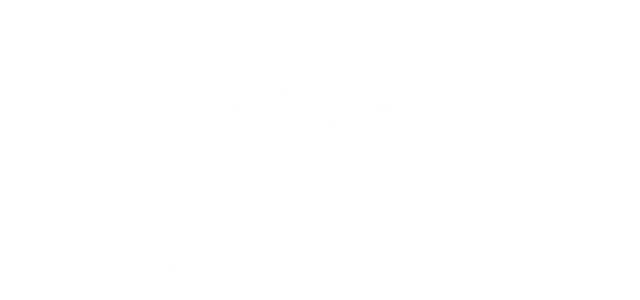 Editora Hildegarda