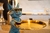 MR DOG MUSCLES GLASSES AZUL en internet