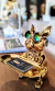 BULLDOG SENTADO DORADO BRILLANTE C/ BANDEJA - comprar online
