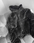 Campera Uma - comprar online