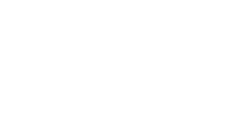 Mayorista Divinas