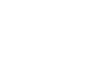 FortMesh