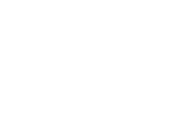 FortMesh