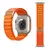 Imagem do Pulseira Alpina 42/49mm