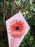 Gerbera - comprar online