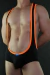 BODY
