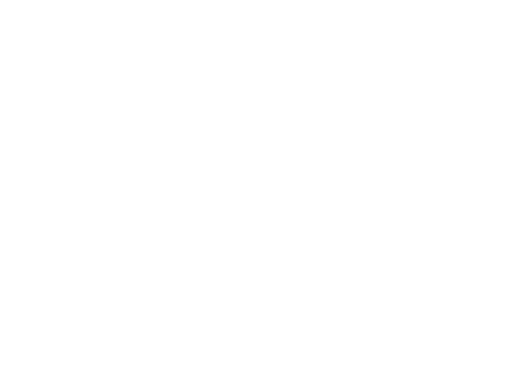AppleUpstore