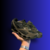MIZUNO PRO LS PRETO