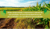 Carrusel Agro Commerce