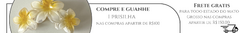 Banner da categoria Brincos