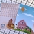 Kit quadros decorativos Fazendinha - 3 unidades - comprar online