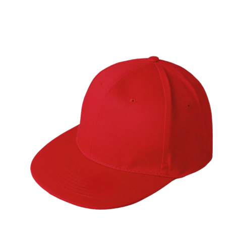 Gorra Plana - comprar en línea