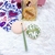 DUO DE ESPONJA "CISNE" Y PINCEL "LENGUA DE GATO" - comprar online