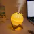 Humidificador aromático esfera c/ luz en internet