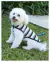Buzos de Polar - Paws & Style