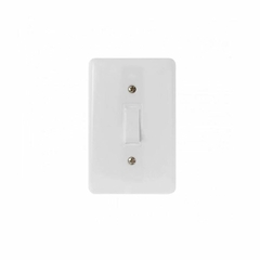 Interruptor 1 Tecla Com Placa Branca CAIXA/6 - comprar online
