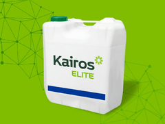 Banner de la categoría KAIROS ELITE
