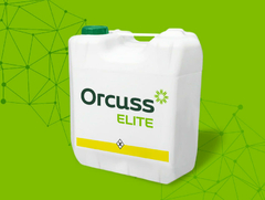 Banner de la categoría ORCUS ELITE
