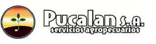 PUCALAN SA