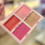 Paleta Blush e Shine -Rosé Gold - Ruby Rose - comprar online