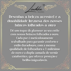 Brinco Inspiração Louis Vuitton P na internet