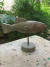Escultura Peixão na internet
