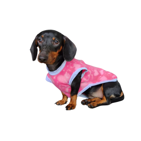 Regata para pet em Soft Coração