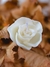 Vela aromática pequena flor Âmbre 40g - comprar online