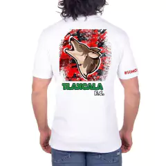 Categoría 5
