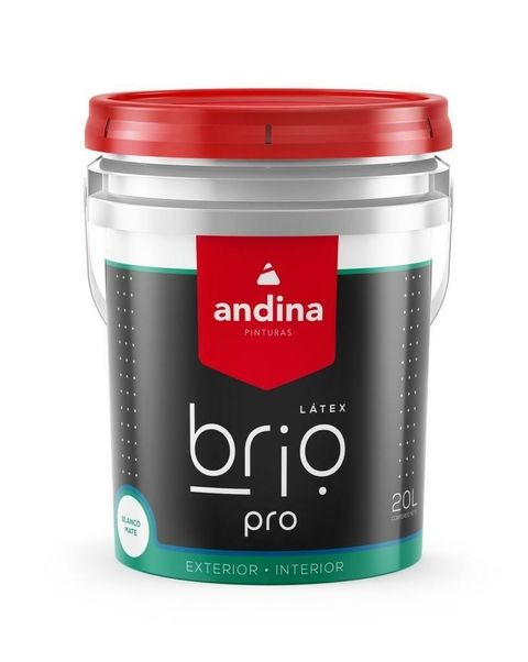 ANDINA LATEX BRIO PRO INT/EXT X10L